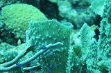Curacao 04-12 570